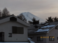 快晴、良いお馬日和