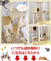 キャットタワー検討中～ 画像1