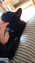 猫の日♡