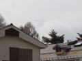 まださみぃけど 1月の時と比べたら最低気温は上がってますね