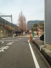 この道。 画像1