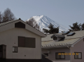 春よ来い