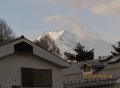 ついてら～