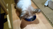 ☆食べた！☆ 画像1