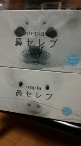 毎年のこと？ 画像1