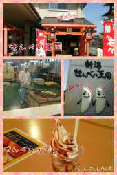 ◇新潟酒の陣！ 画像3