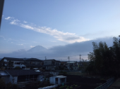 何か舞っている 画像1