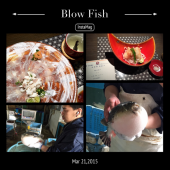 河豚ツアー！ 画像1