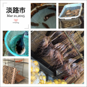 河豚ツアー！ 画像2