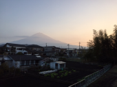 まいる 画像1
