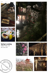 京都観光 画像1