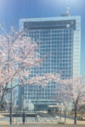 『転勤辞令～』 画像2