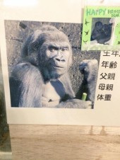 雑感（無意味編） 画像3