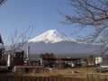 明日から4月だよ、本日も快晴