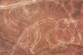 ナスカの地上絵、スゲー 画像2