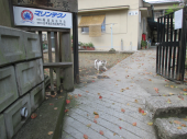 no title 画像1