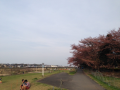 夕方ラン♪