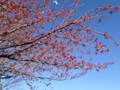 青空～♪ 画像2