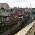 雨が降る前に♪
