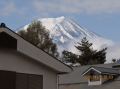 今日はよい天気になりそうだ