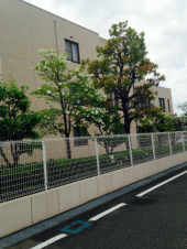 昨日の風景。 画像3