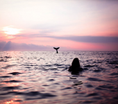 雑感（お分かりいただけただろうか編） 画像2