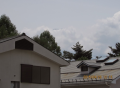 昭和の日だ
