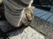 no title 画像1