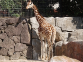 ハイキング＆動物園 画像1