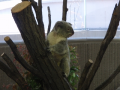 ハイキング＆動物園