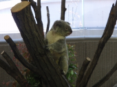 ハイキング＆動物園 画像2
