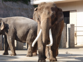 ハイキング＆動物園 画像3