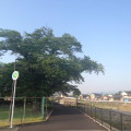 参った～～～(*´д｀*)