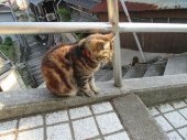 no title 画像1