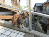 no title 画像2