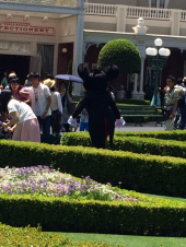 ディズニーランド 画像2