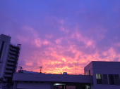居眠り 画像1