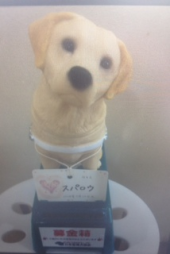 『盲導犬サフィー』 画像3