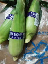 酸っぱいもの♪ 画像2