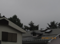 今日も曇り