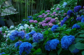 "Oha４"からごそごそ 画像1