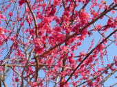 健康生活(03/24雨） 画像1