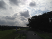 no title 画像1