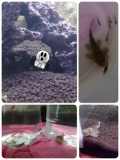 覚悟はなかった(￣▽￣;)!! 画像2