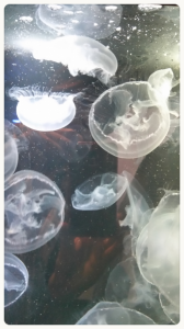 ☆ヤバイ位、楽しかったー(*￣∇￣)ノ 画像1