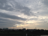 なでしこ　頑張れ♪ 画像1