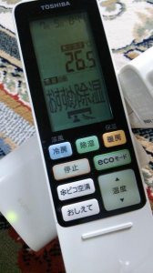 喰っちゃ寝。 画像1