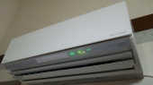 喰っちゃ寝。 画像2