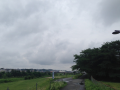 雨がやんだので♪