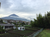 鳥の声 画像1